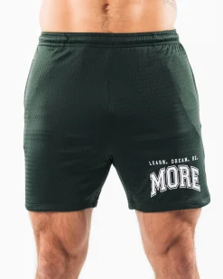 LDB More Mesh Short 6"