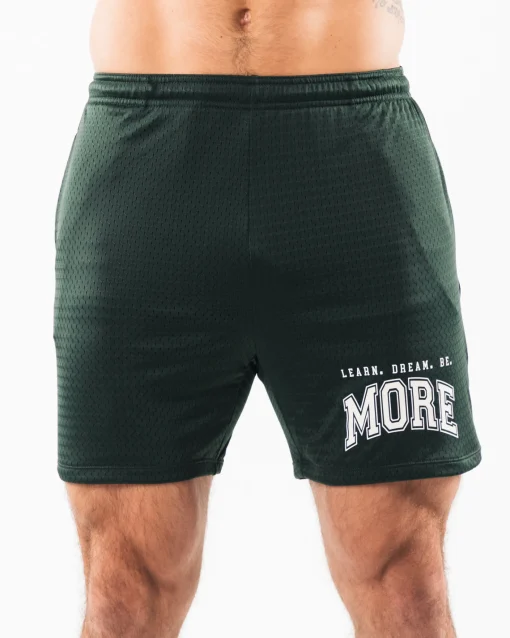 LDB More Mesh Short 6"
