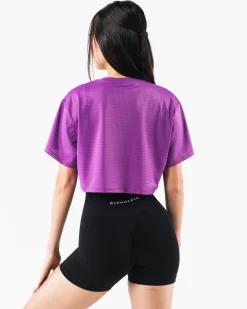 Margo Mesh Crop Tee