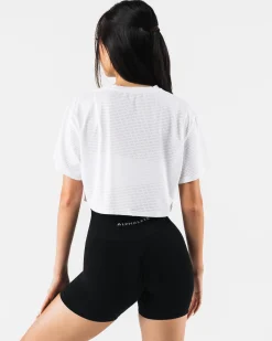 Margo Mesh Crop Tee